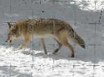 005_2009-0214-1231-21-JoeA.jpg